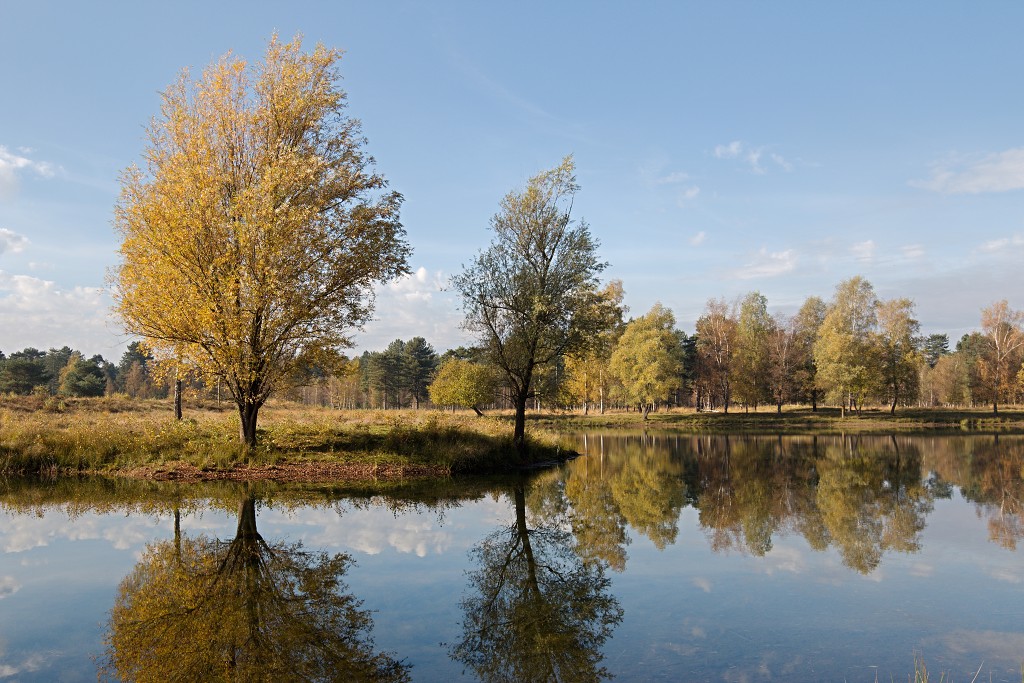 baronie van breda leemputten boswachterij dorst mastbos chaamse bossen Liesbos Vuchtpolder hdr bos Strijbeekse Heide staatsbosbeheer